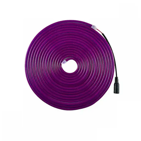 CINTA DE LUZ LED NEON 5 MTS TRANSFORMADO 12V