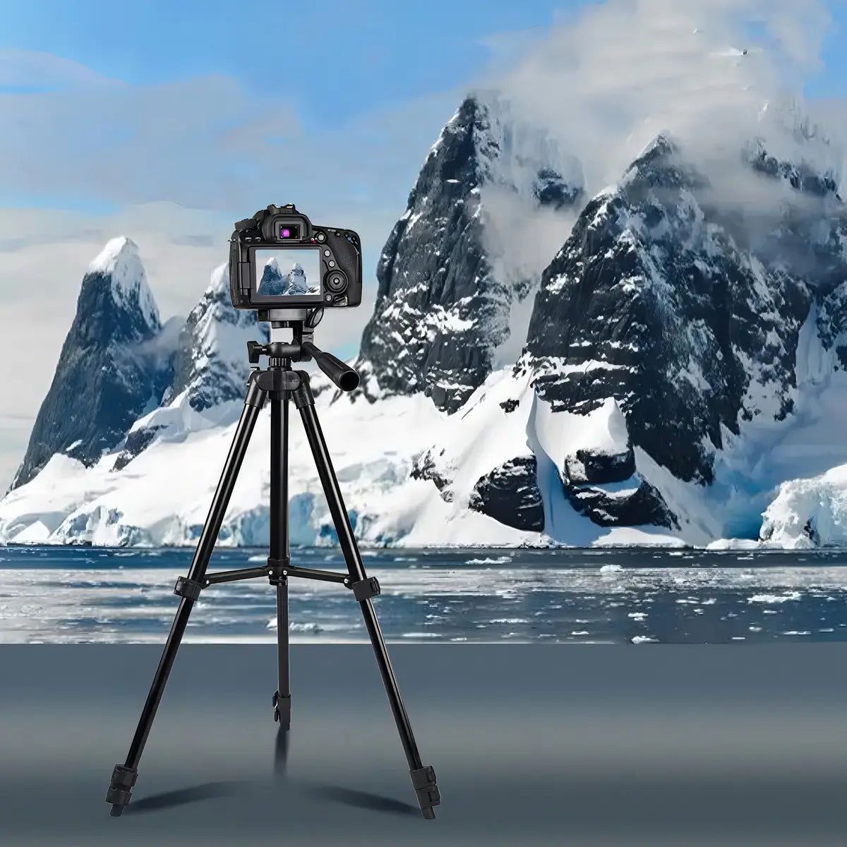 Trípode Para Cámara 360° Profesional Color Negro